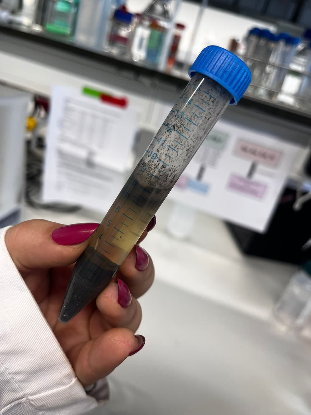 Layered sediment from the field